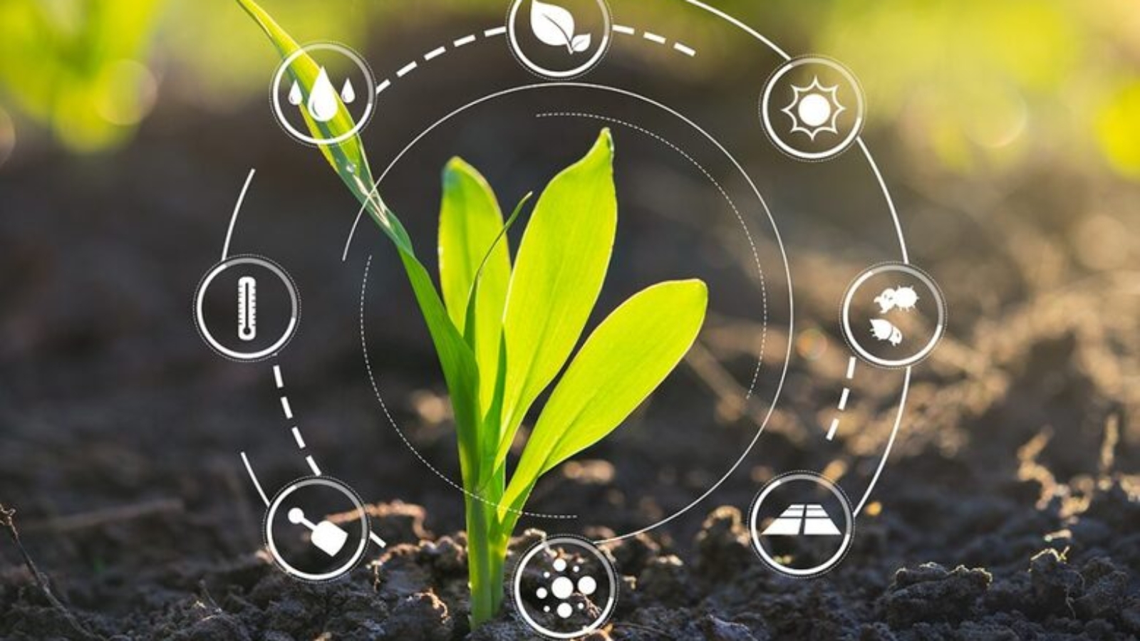 Recherche et Innovation